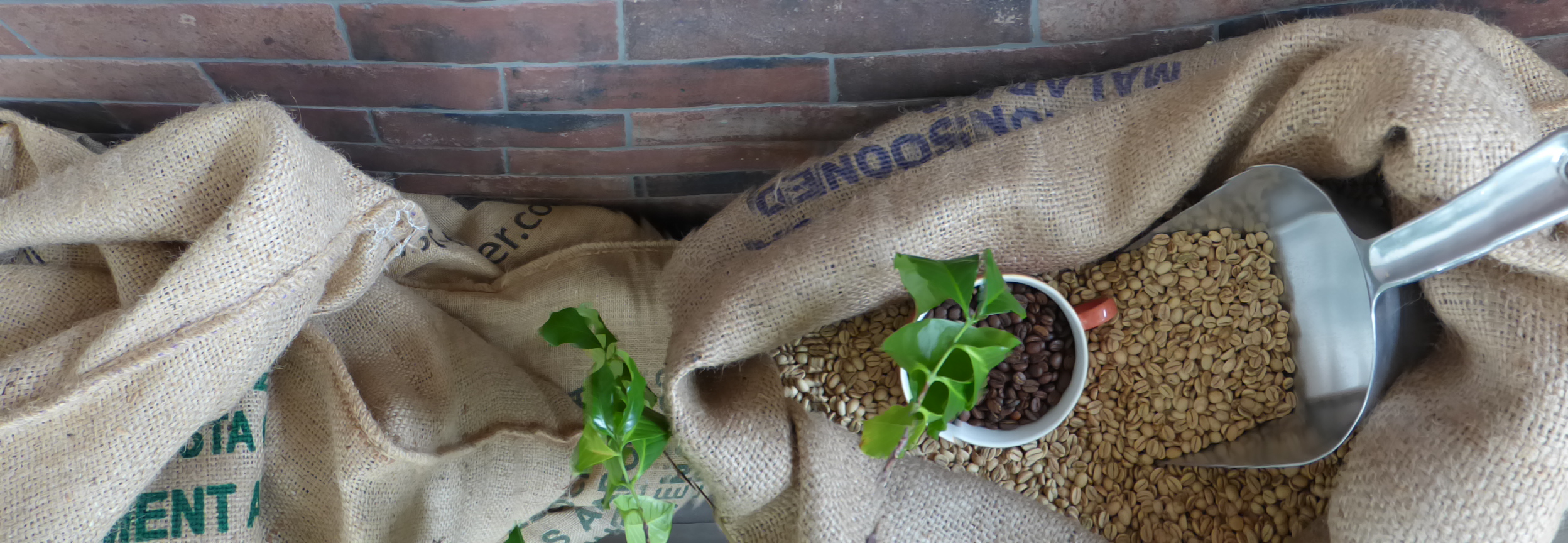 Welche Eigenschaften beschreiben einen Kaffee?
